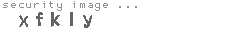 security image