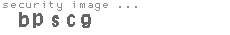 security image